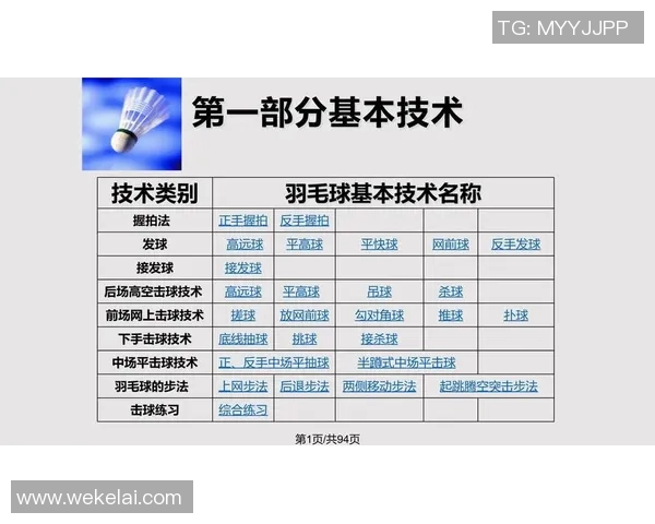 杭州羽毛球队在城市联赛中的速度优势与战术分析 杭州羽毛球队在城市联赛中的速度优势与战术分析