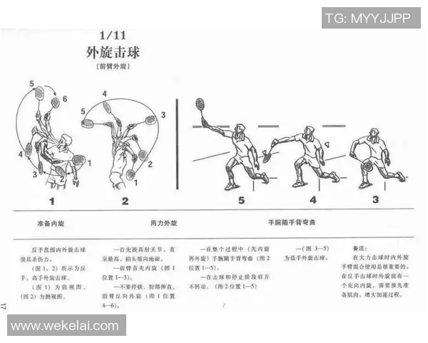 从零起步全面掌握羽毛球力量训练技巧与实用方法 从零起步全面掌握羽毛球力量训练技巧与实用方法