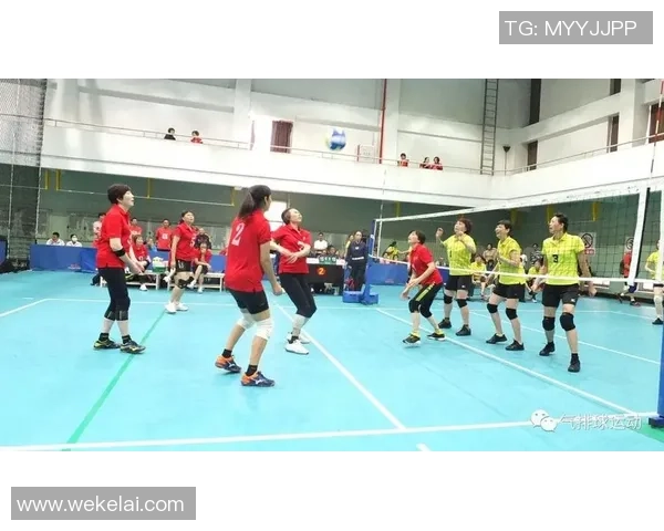 杭州排球队防守反击新策略揭秘助力球队崛起与发展