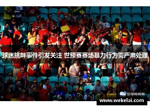 球迷挑衅事件引发关注 世预赛赛场暴力行为需严肃处理