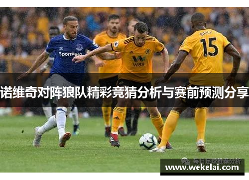 诺维奇对阵狼队精彩竞猜分析与赛前预测分享